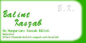 balint kaszab business card